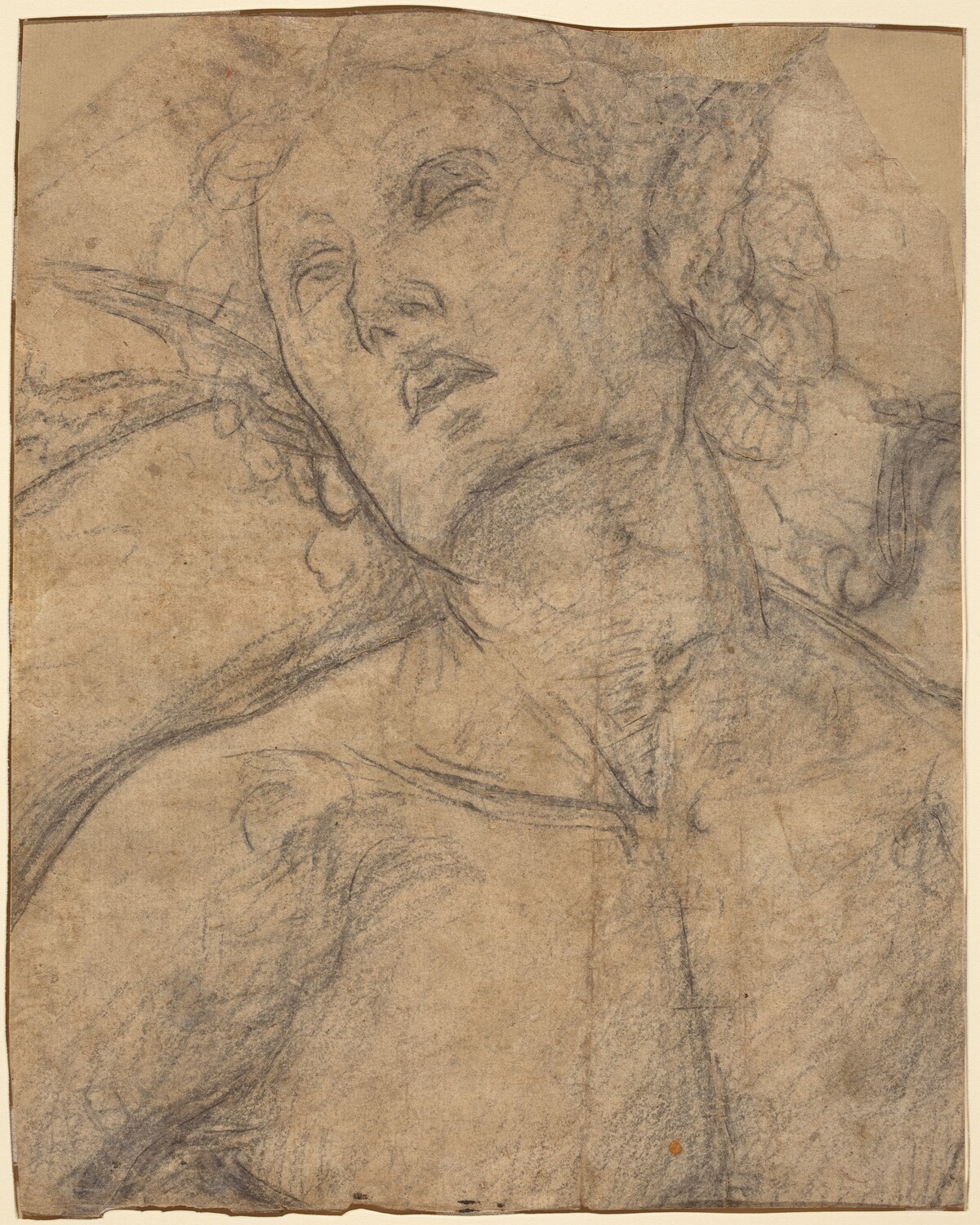 Bust of a Youth Looking Upward [recto] by Luca Signorelli