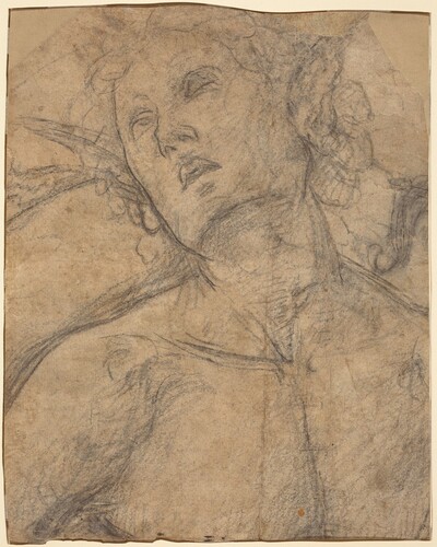 Bust of a Youth Looking Upward [recto]
