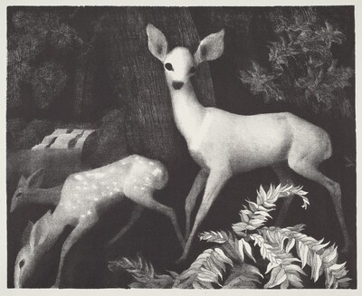 Forest Folk