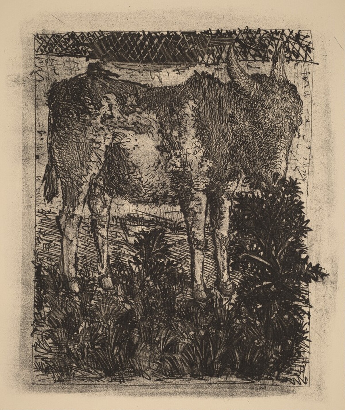 L'Ane (The Donkey) by Pablo Picasso