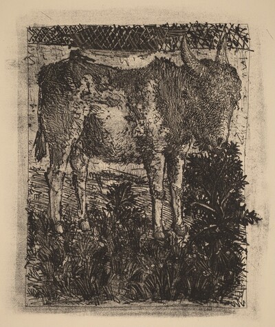 L'Ane (The Donkey)
