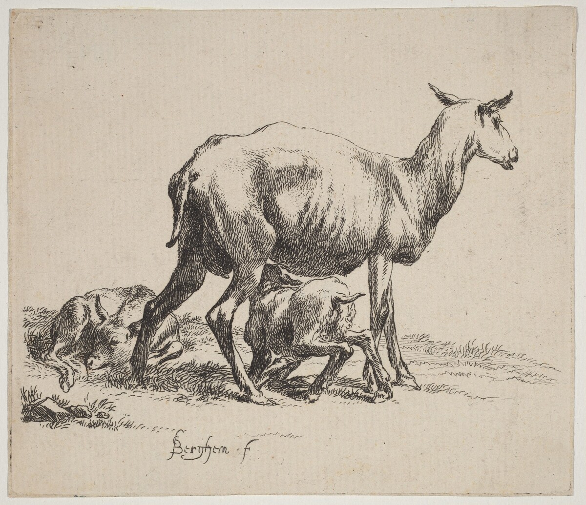 Ewe Nursing Her Lamb by Nicolaes Pietersz Berchem
