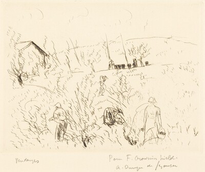 Vendanges