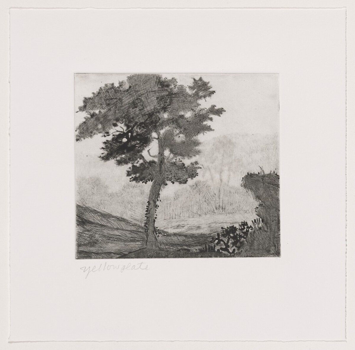 Untitled (#2) [working proof 1d] by Joan Nelson
