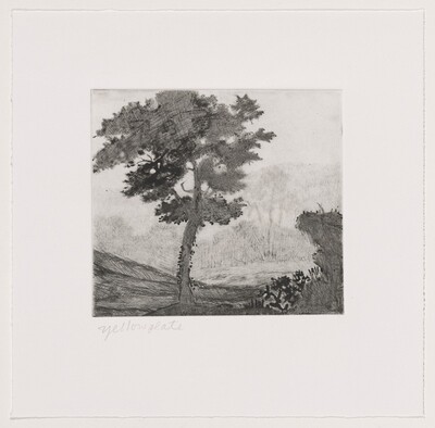 Untitled (#2) [working proof 1d]