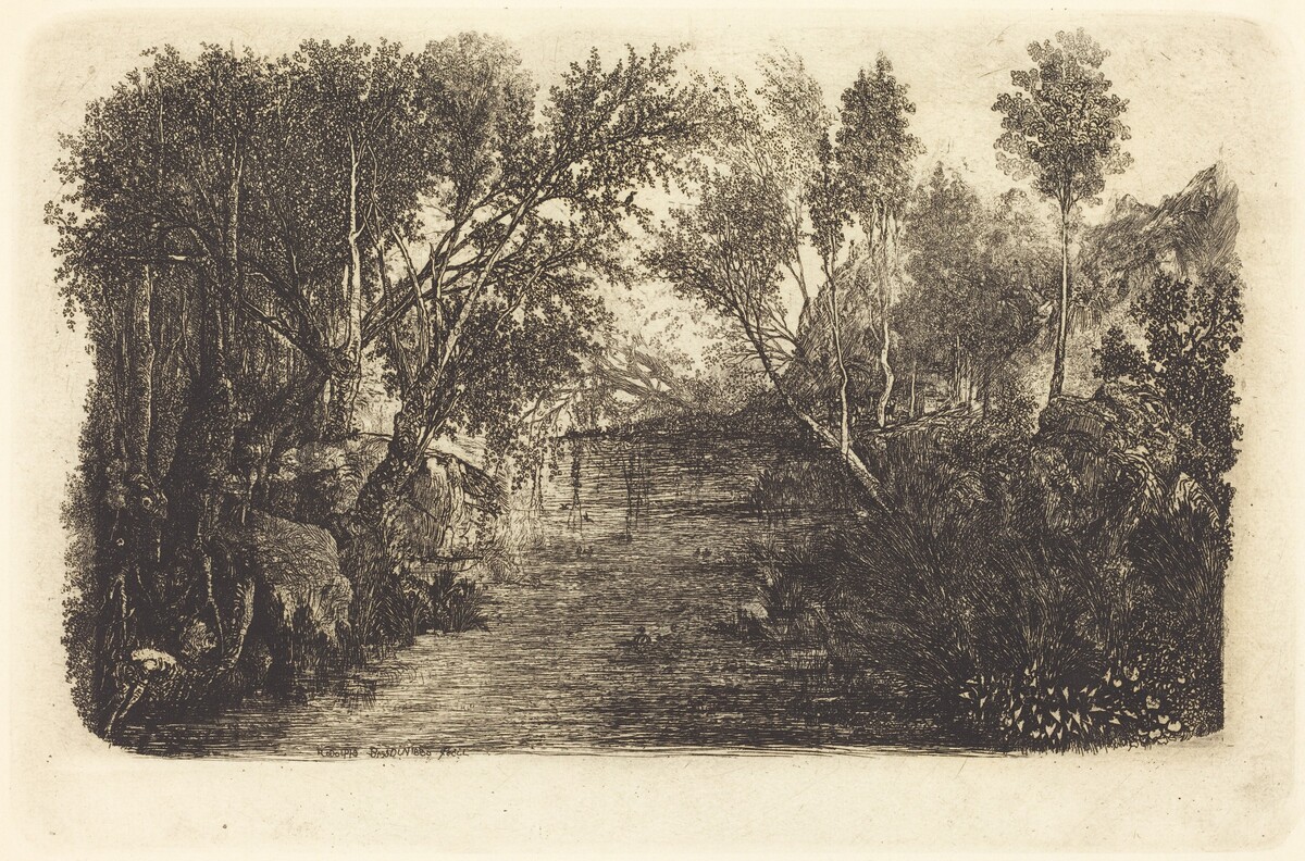The Water's Course by Rodolphe Bresdin