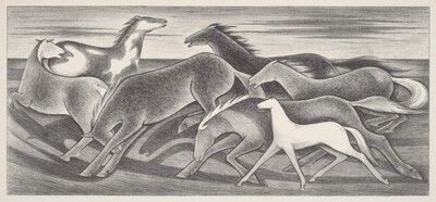 Wild Horses
