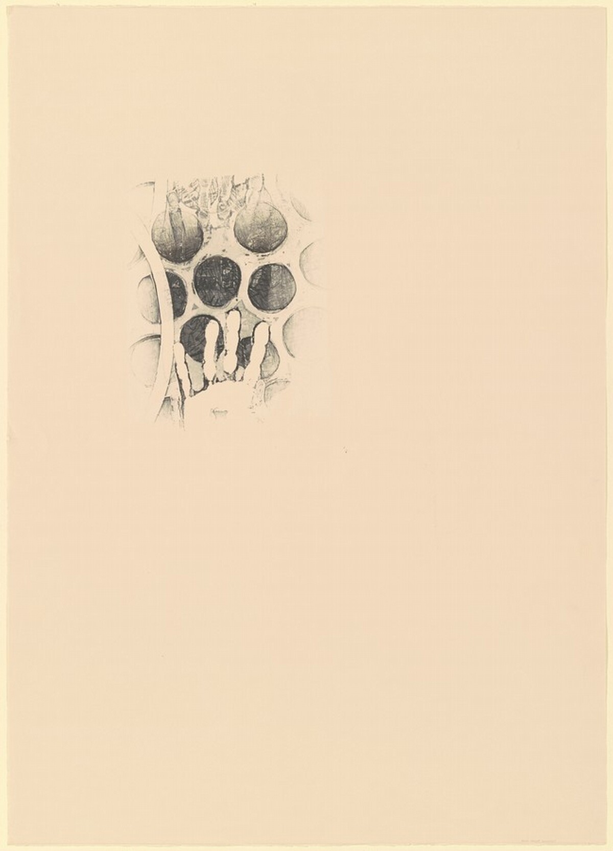 Untitled [proof] by Jasper Johns