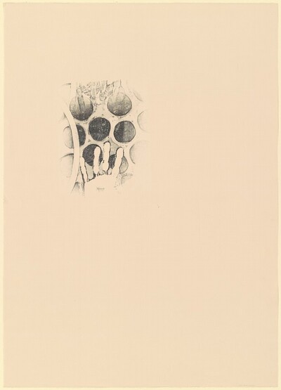 Untitled [proof]