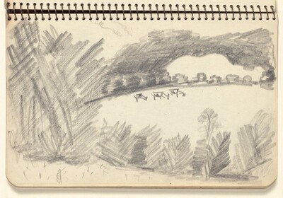 Cows Grazing on the Hill
