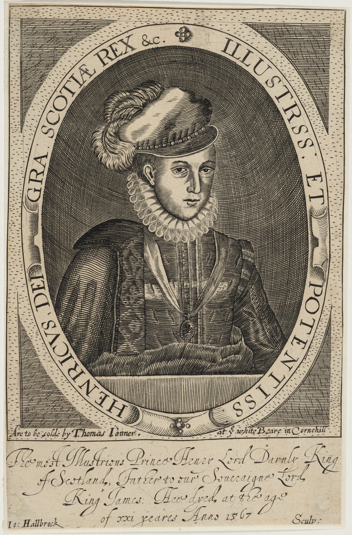 Prince Henry, Lord Darnley, King of Scotland by Jo Hallbrock