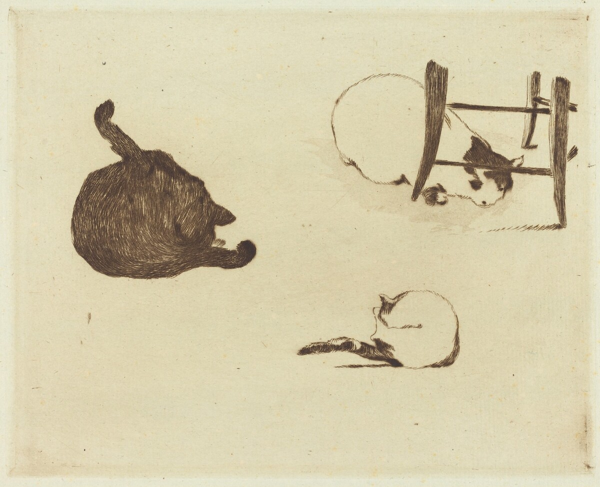 The Cats (Les chats) by Edouard Manet