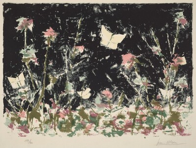 Meadow at Night