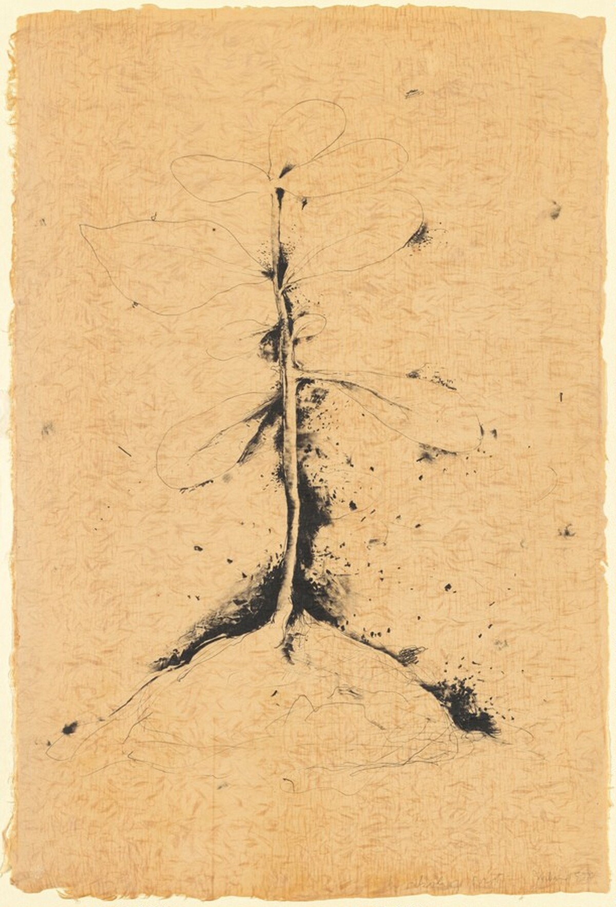 The Plant Becomes a Fan #1 by Jim Dine