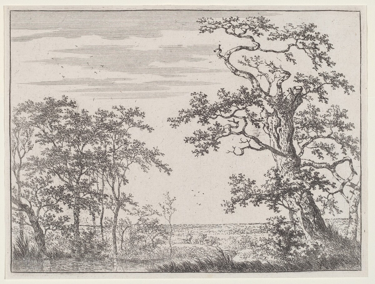 Landscape with a Stream and an Ancient Tree by Adriaen Hendricks Verboom