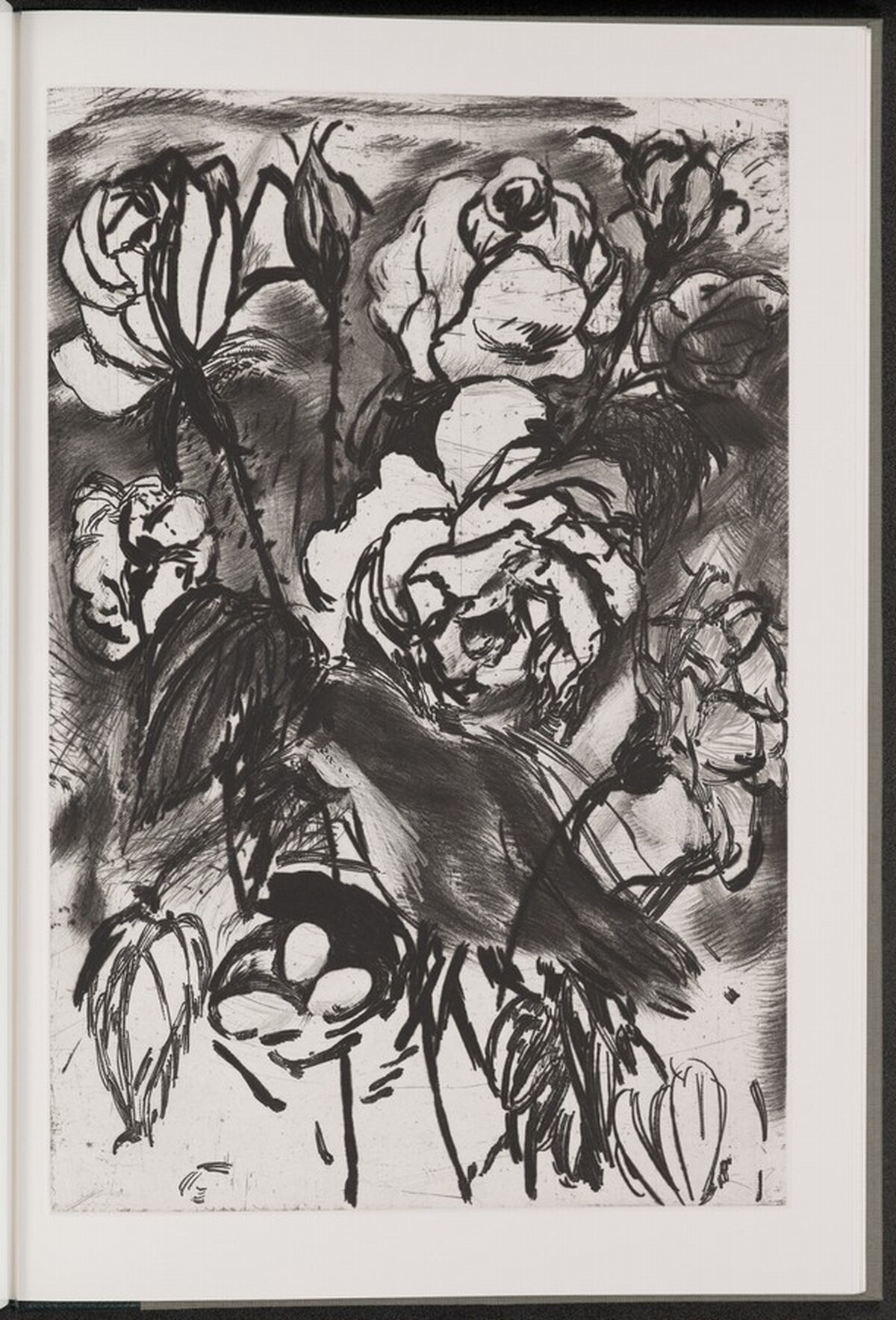 Rose by Jim Dine