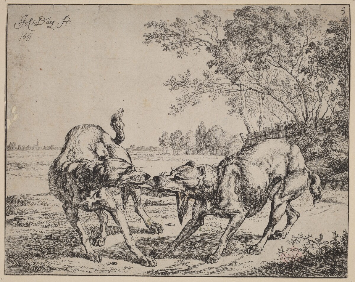 The Disputed Meat (La viande disputé) by Jan le Ducq