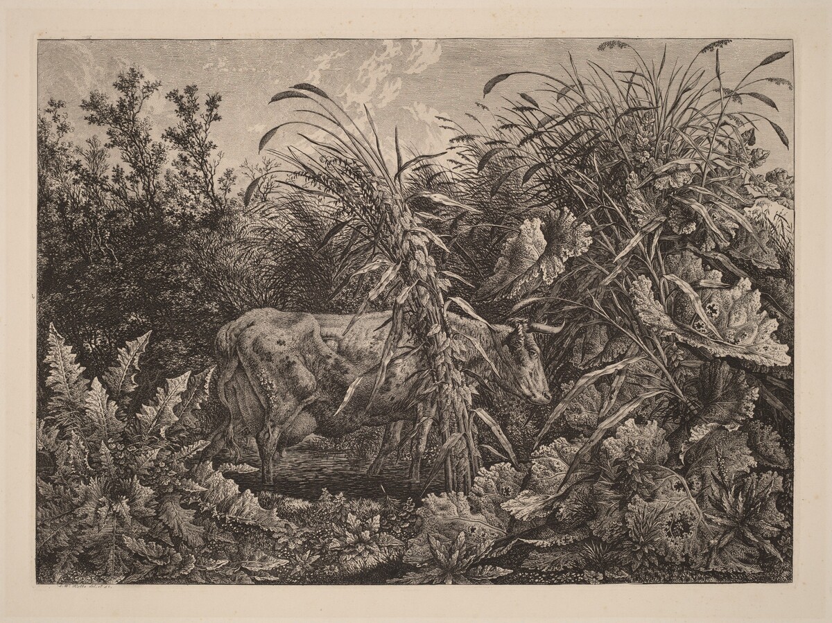 The Cow in the Swamp by Carl Wilhelm Kolbe, the elder