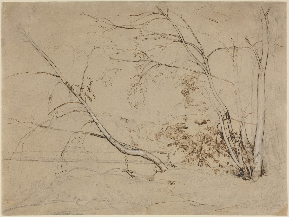 Clump of Trees at Civita Castellana by Jean-Baptiste-Camille Corot