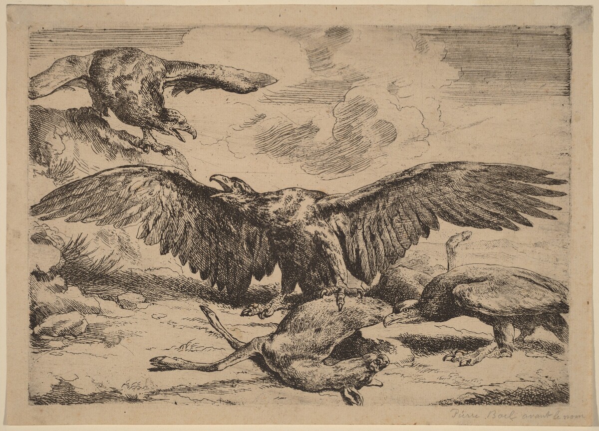 Eagles by Peeter Boel