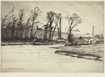 A Wintry Blast on the Stourbridge Canal