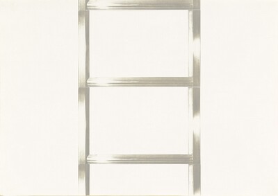 20 Foot Ladder for any Size Wall [V]