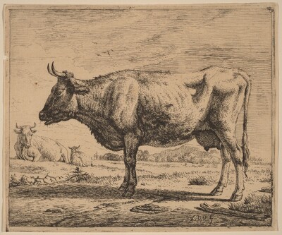 Two Cows and a Sheep