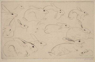 Rabbits (Lapins)