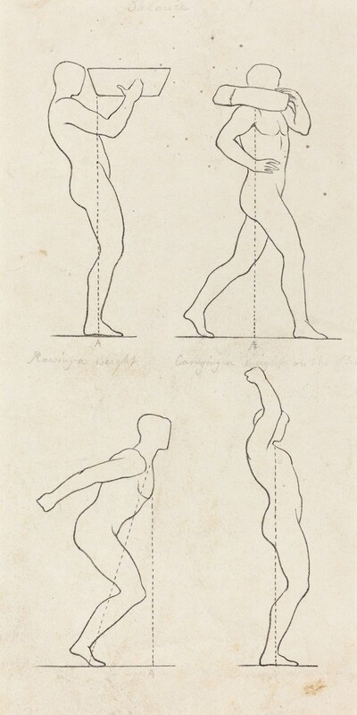 Bearing a Weight; Preparing to Jump, and Alighting