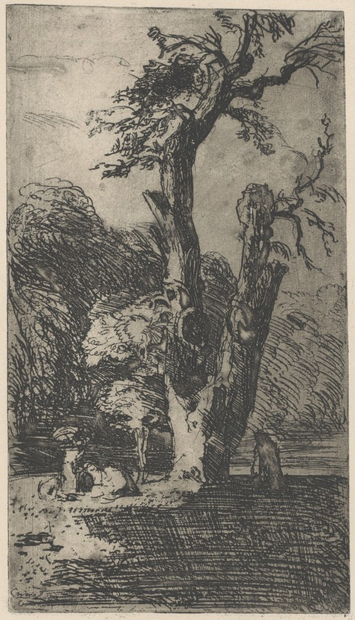 Landscape with a Great Tree by Armando Spadini
