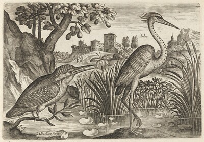 Kingfisher and Grey Heron