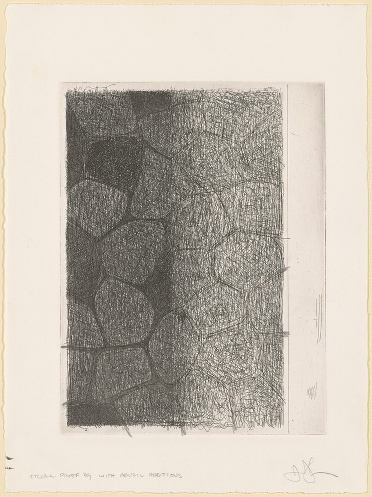 Flagstones (a) [trial proof 2] by Jasper Johns