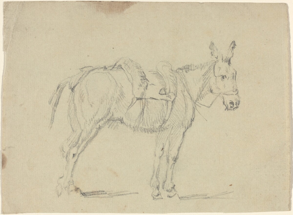 Donkey Stretching a Hind Leg by John Flaxman