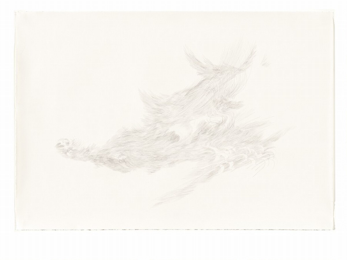 Untitled by Julie Mehretu