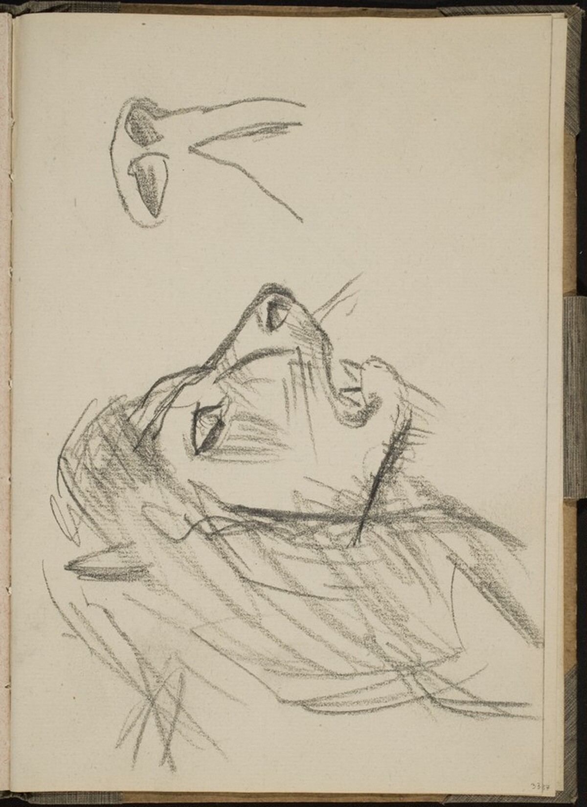 Löwenkopf im Profil (Lion Profile) [p. 33] by Max Beckmann