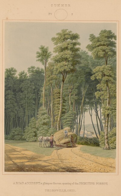 Summer--A  Road Accident. A glimpse thro' an opening of the Primitive Forest. Thornville, Ohio
