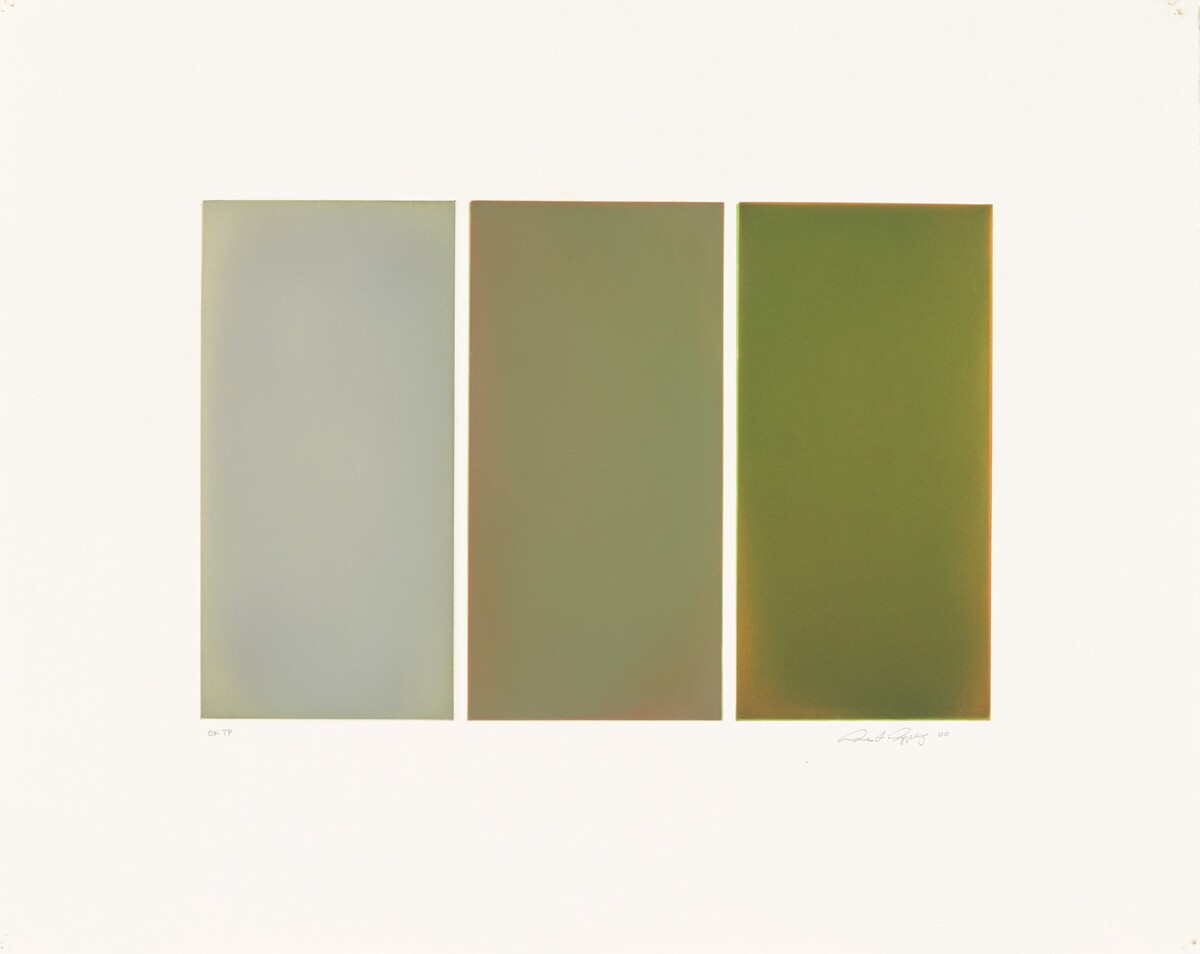 Summer Aspen by Anne Appleby