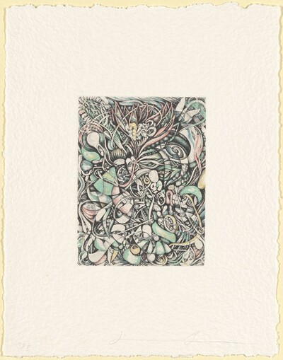 Flower Head [special proof]