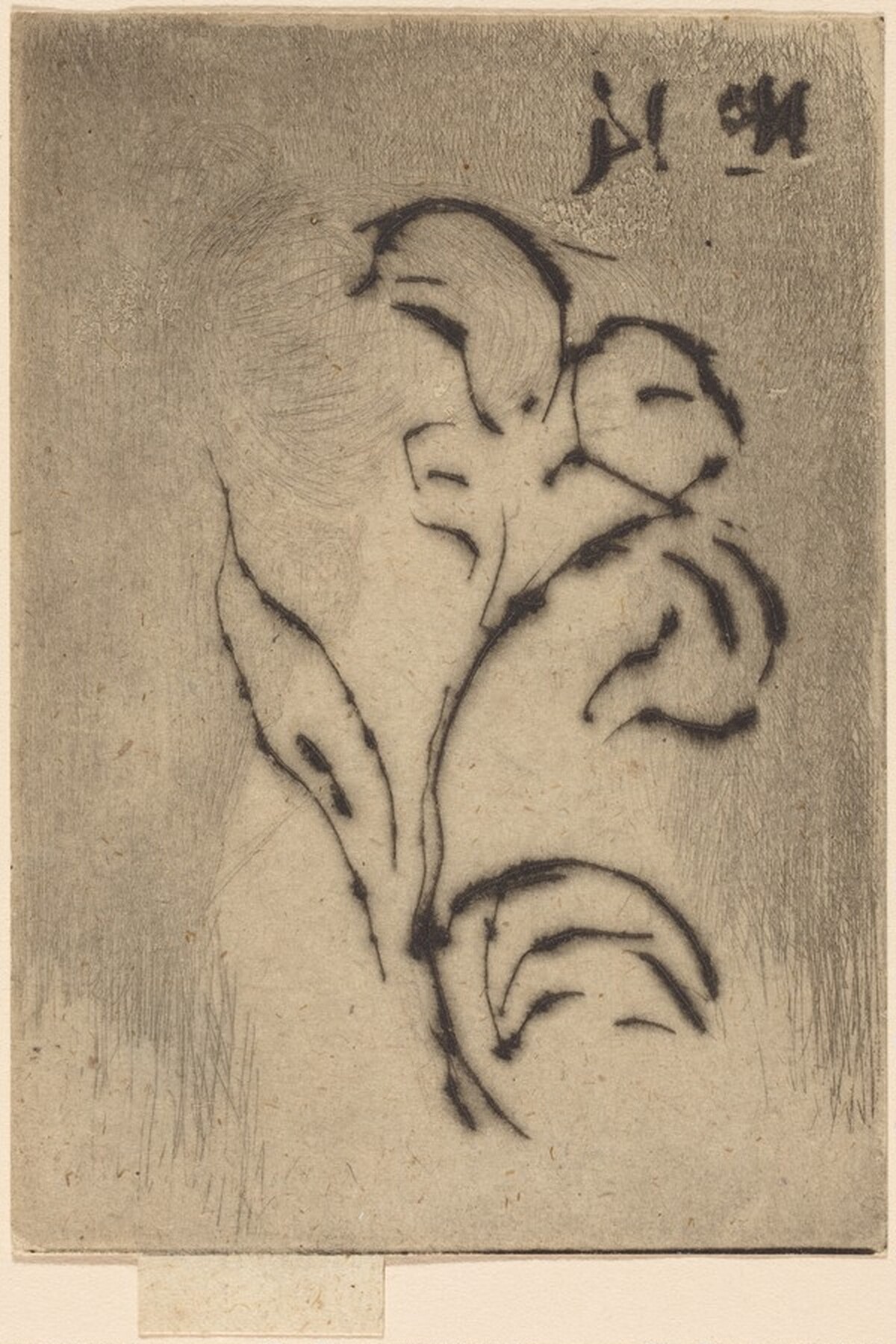 Jeanette, June 1887 / Flower by Théodore Roussel