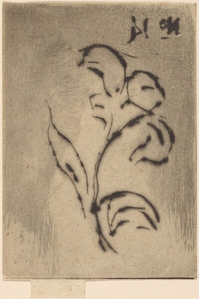 Jeanette, June 1887 / Flower