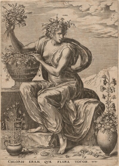 Flora