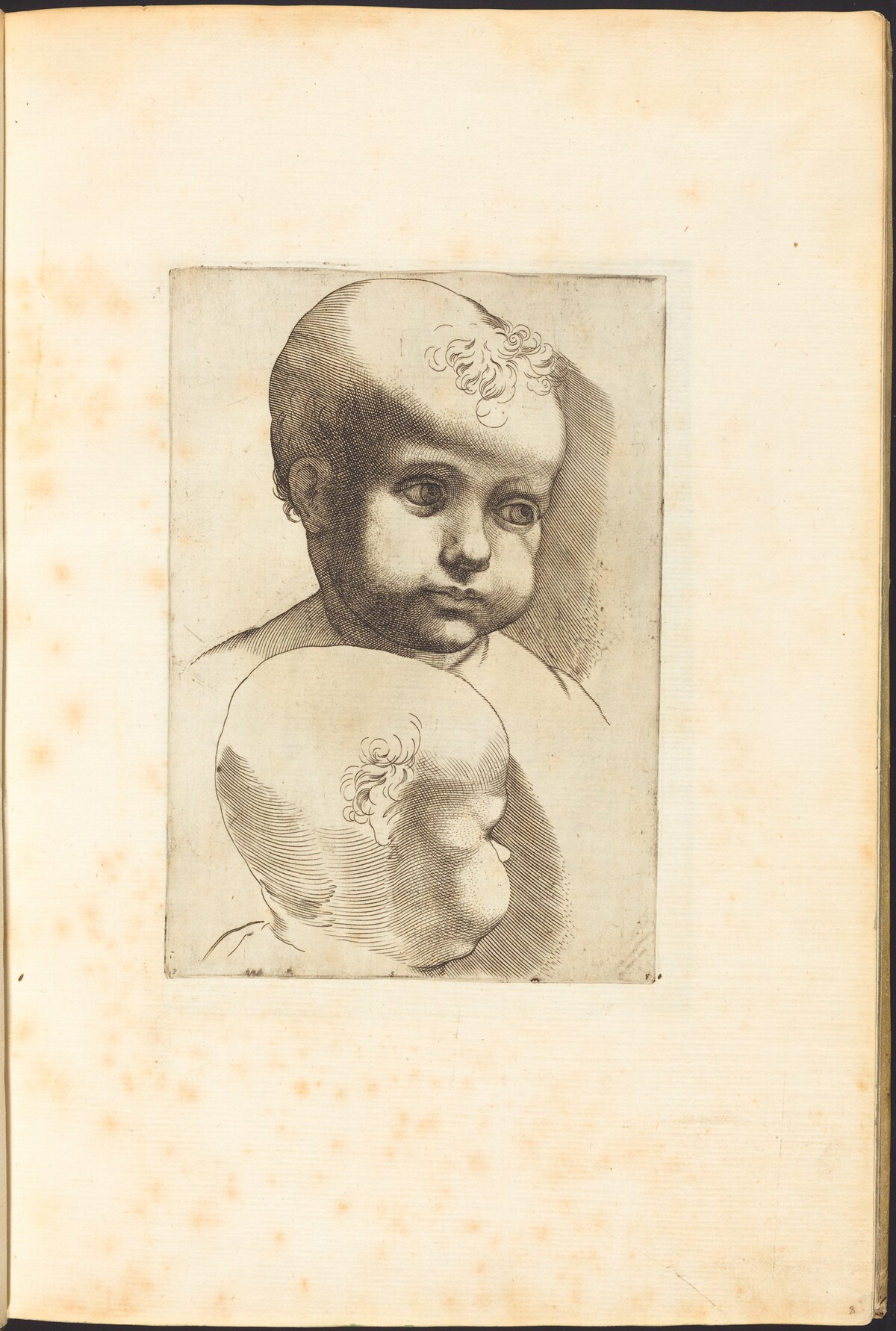 Print from Drawing Book by Luca Ciamberlano