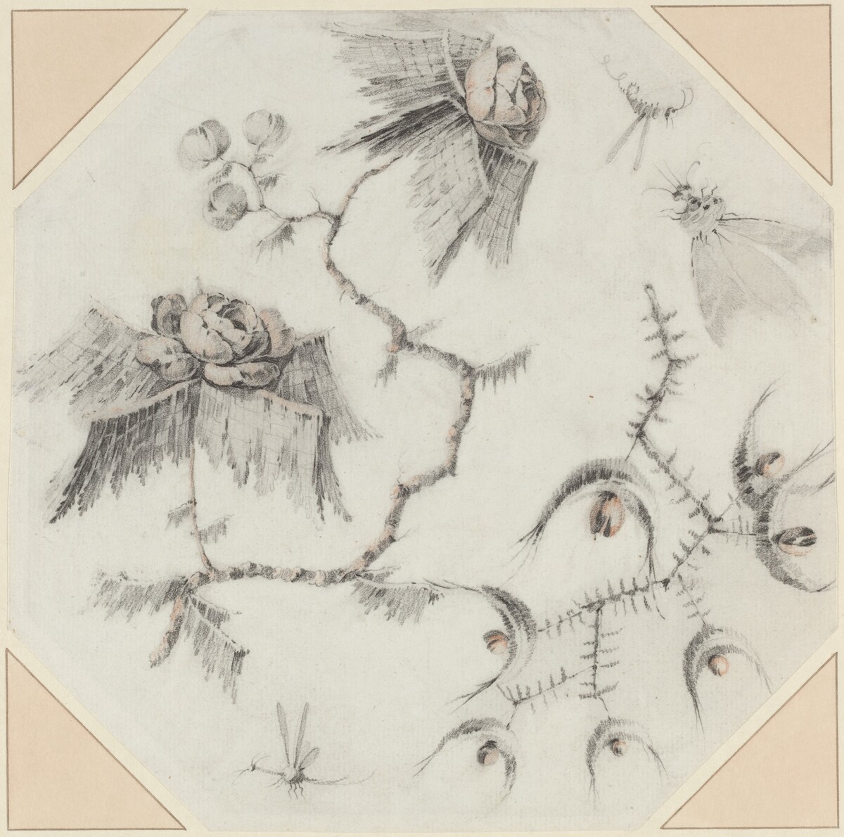 Fanciful Flowers and Bugs by Jean-Baptiste Pillement