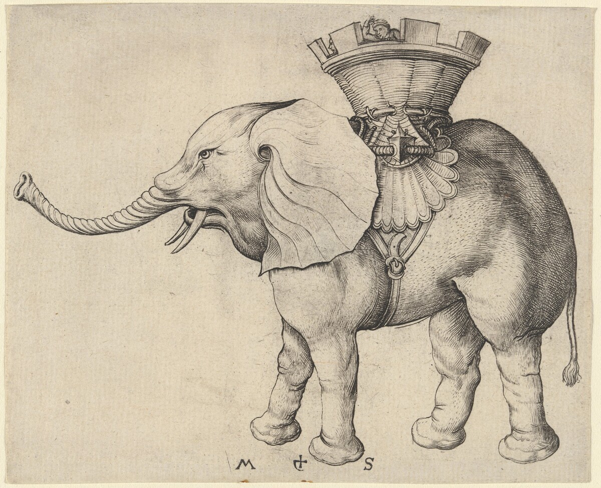 Elephant by Martin Schongauer