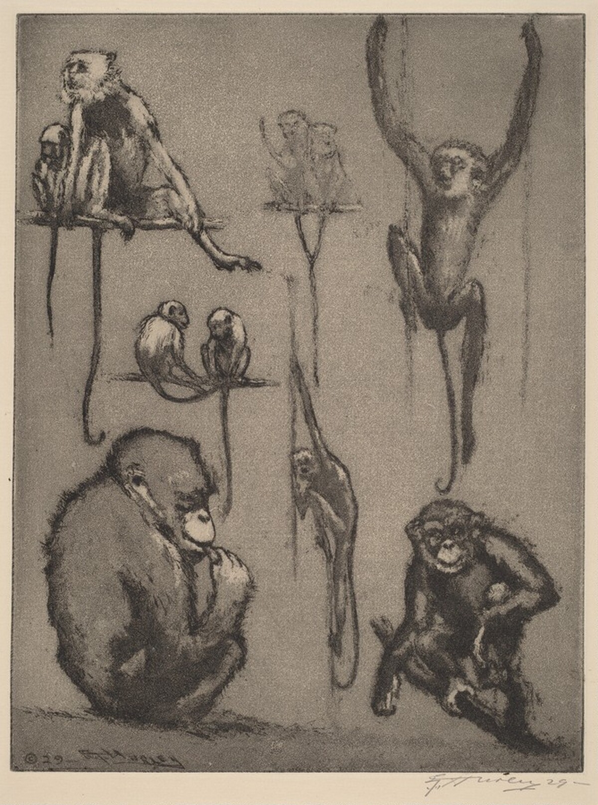 Just Monkeys by Edward Timothy Hurley