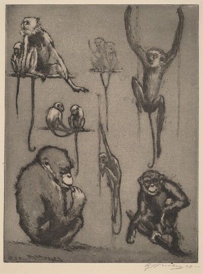 Just Monkeys