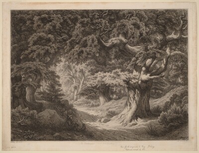 Le Charlemagne (forêt de fontainebleau)