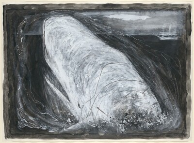 The Whiteness of the Whale