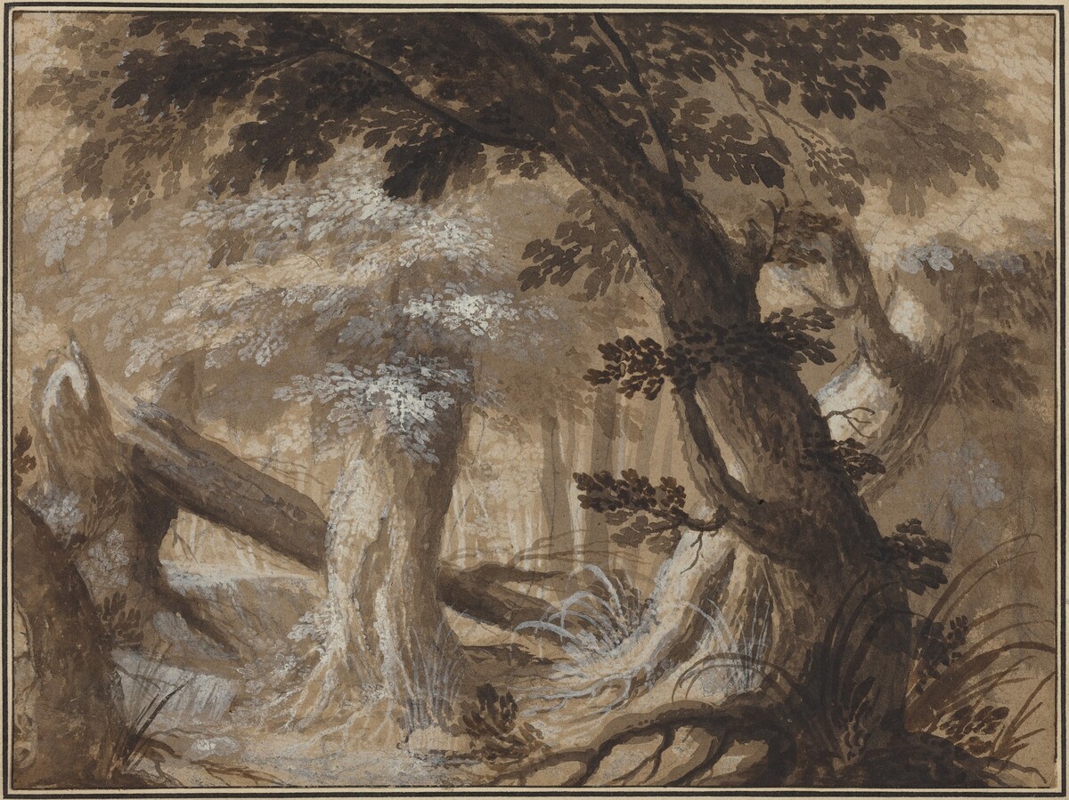 Forest Interior by Flemish 17th Century