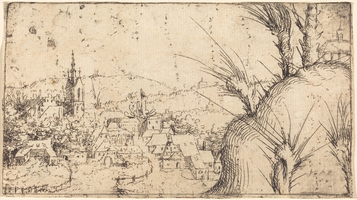 Landscape with a Town at Left by Augustin Hirschvogel